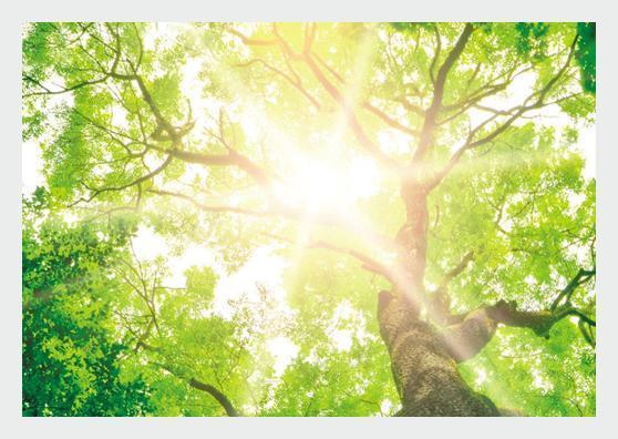 Bestattung in Nürtingen