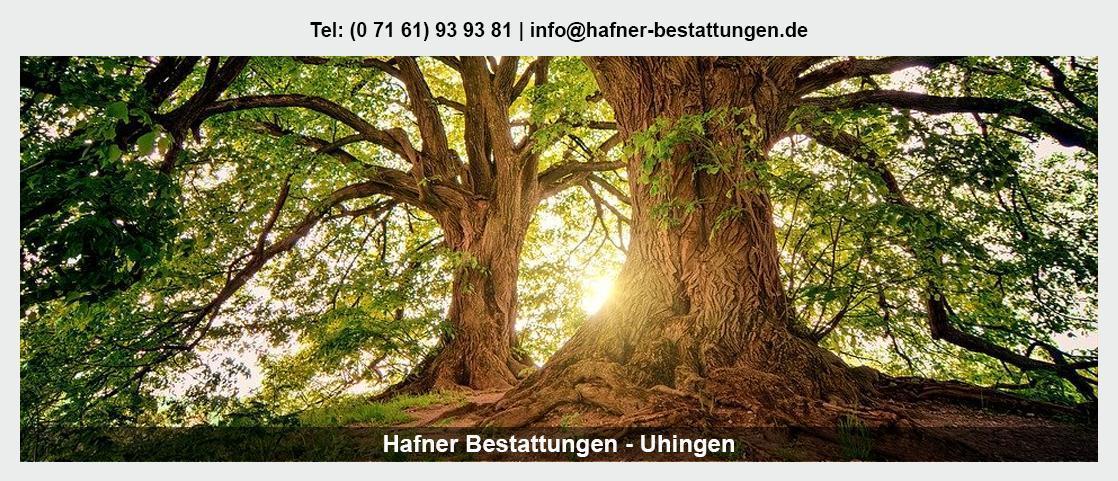 Beerdigungen Raum Kaisersbach - Bestattungsinstitut Hafner: Trauerredner