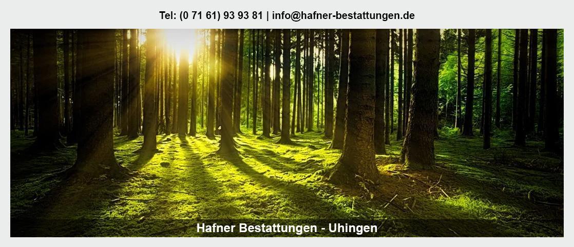 Beerdigungen Region Spraitbach - Bestattungsinstitut Hafner: Trauerredner